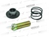 Caliper Adjusting Gear - R / 160 840 006