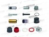 Caliper Pin Repair Kit / 160 820 347