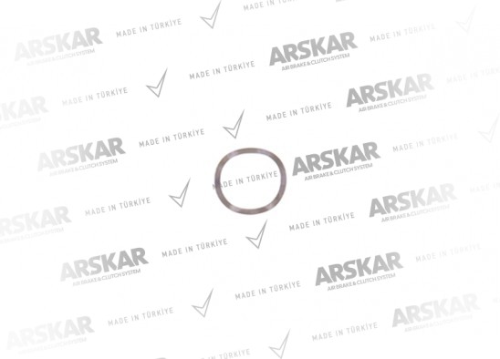 Caliper Manual Adjuster Wavy Washer / 160 840 201