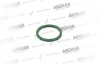Caliper Piston Seal / 160 840 316