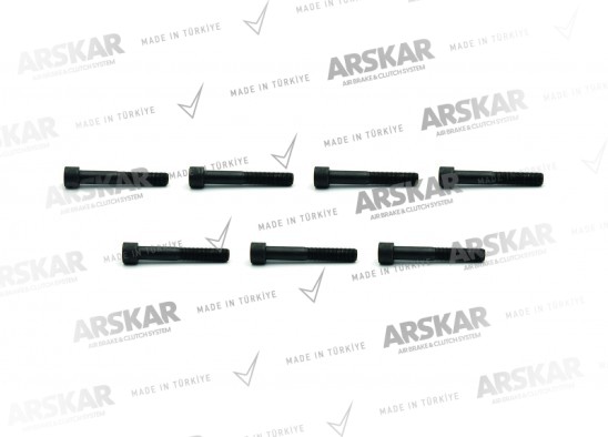 Caliper Cover Bolt Kit / 160 840 443