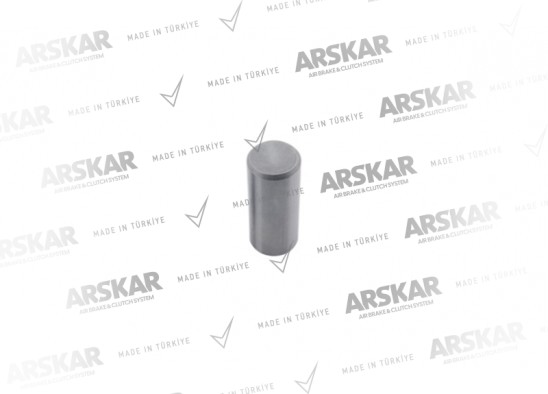 Caliper Lever Roller Bearing / 160 840 167