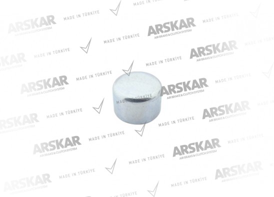 Caliper Pin Cap - Ø 40 / 24.5 mm / 160 820 138