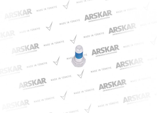 Caliper Cover Plate Bolt - M8 x 1.25 / 20 mm / 160 840 138