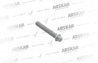 Kaliper Kapak Cıvatası - M12 x 1.75 / 80 mm / 160 820 290