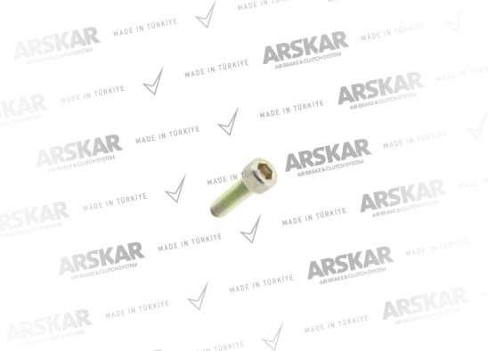 Kaliper Balata Pleyt Cıvatası / 150 810 216