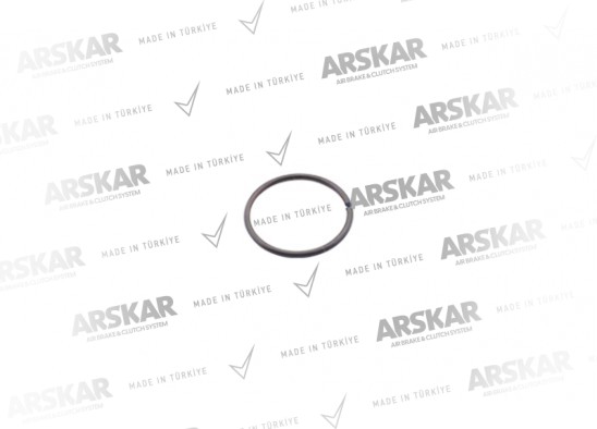 Kaliper İtenek Emniyet Segmanı / 160 820 308