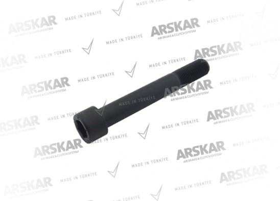 Kaliper Perno Cıvatası - M20 x 1.5 / 150 mm / 160 840 070