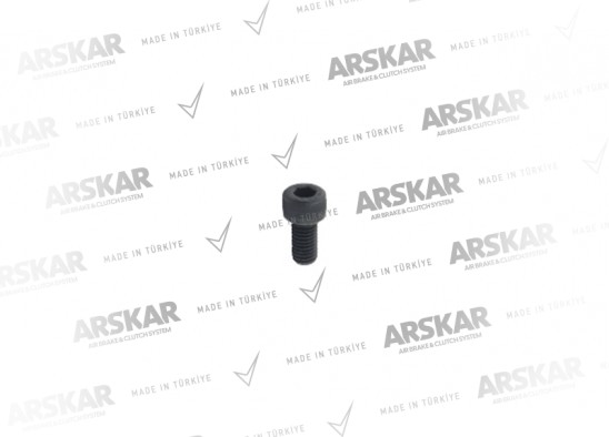 Kaliper Kapak Cıvatası - M8 x 1.25 / 16 mm / 160 840 111