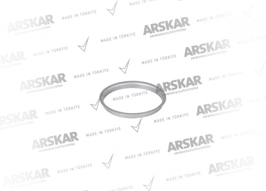 Kaliper Kauçuk Kapak Yüzüğü / 160 840 445