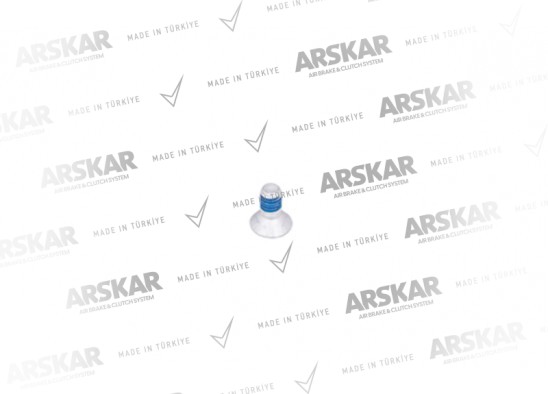 Kaliper Üst Pleyt Cıvatası - M10 x 1.5 / 20 mm / 160 840 480