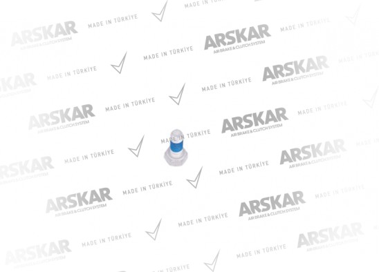 Kaliper Kapak Cıvatası - M8 x 1.25 / 16 mm / 160 840 482