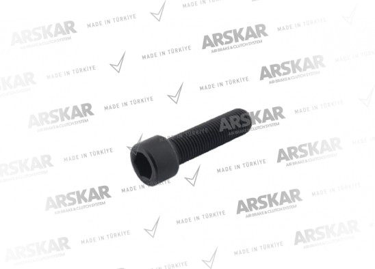 Kaliper Perno Cıvatası - M18 x 2.5 / 55 mm / 160 840 562