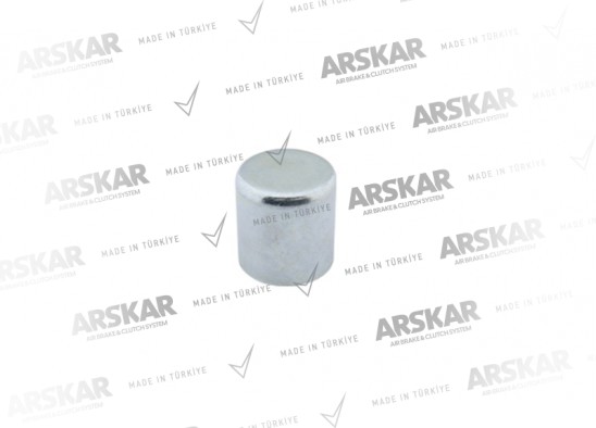 Kaliper Perno Kapağı - Ø 42 / 43 mm / 160 840 620