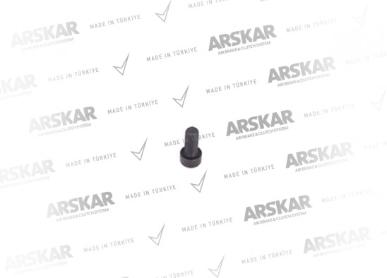 Caliper Tappet Bolt - M8 x 1.25 / 20 mm / 160 840 509