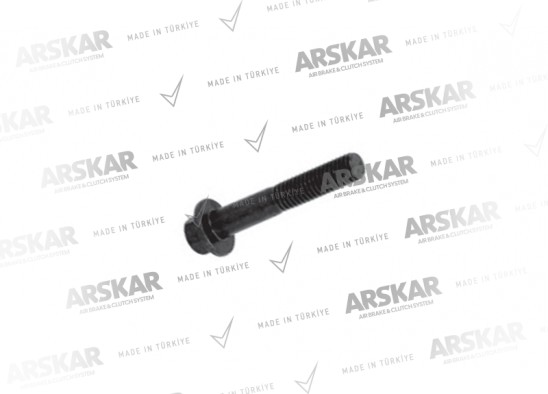 Caliper Aluminum Cap Bolt - M10 x 1.25 / 45 mm / 160 840 001